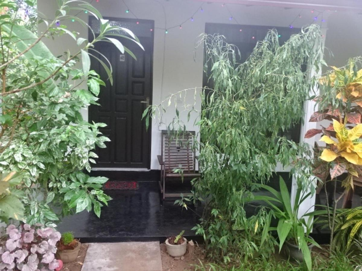Lovely Lodge Sigiriya Exterior photo
